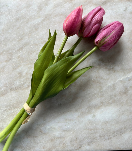 Tulpen Small Donker Roze