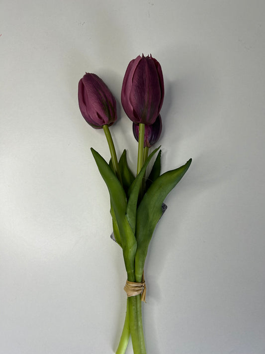 Tulpen Small Dieppaarse