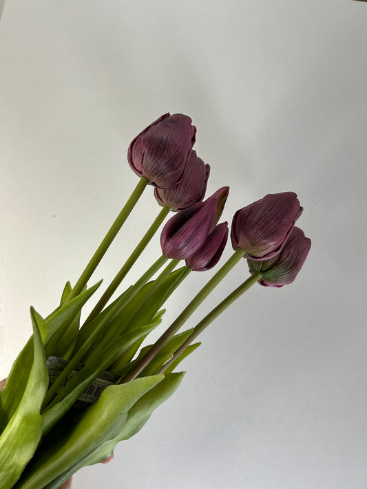 Tulpen Groot Diep Paars