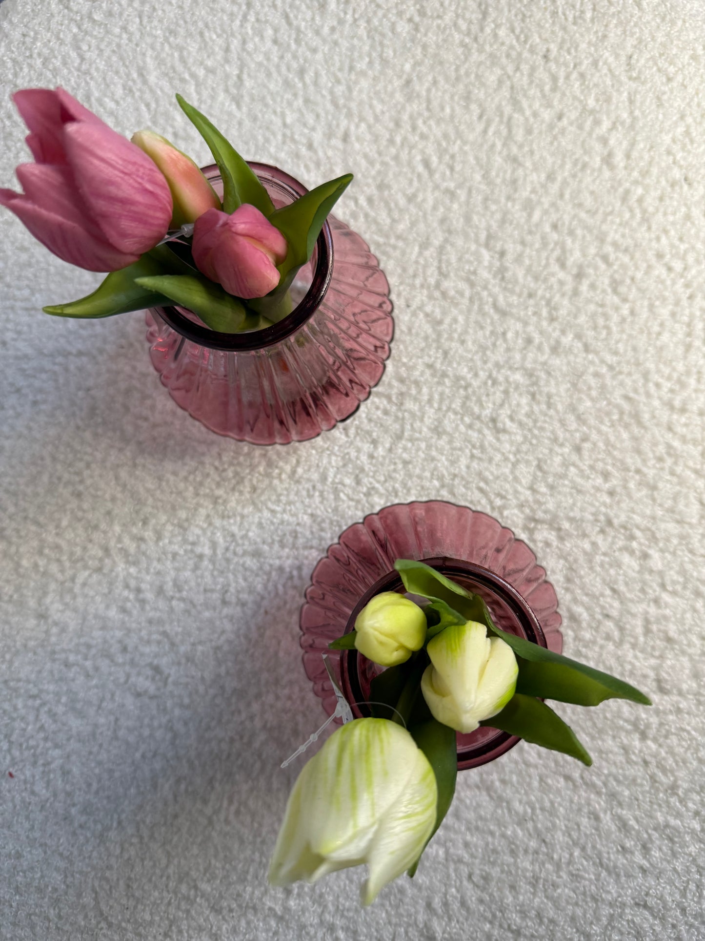 Tulpen mini wit