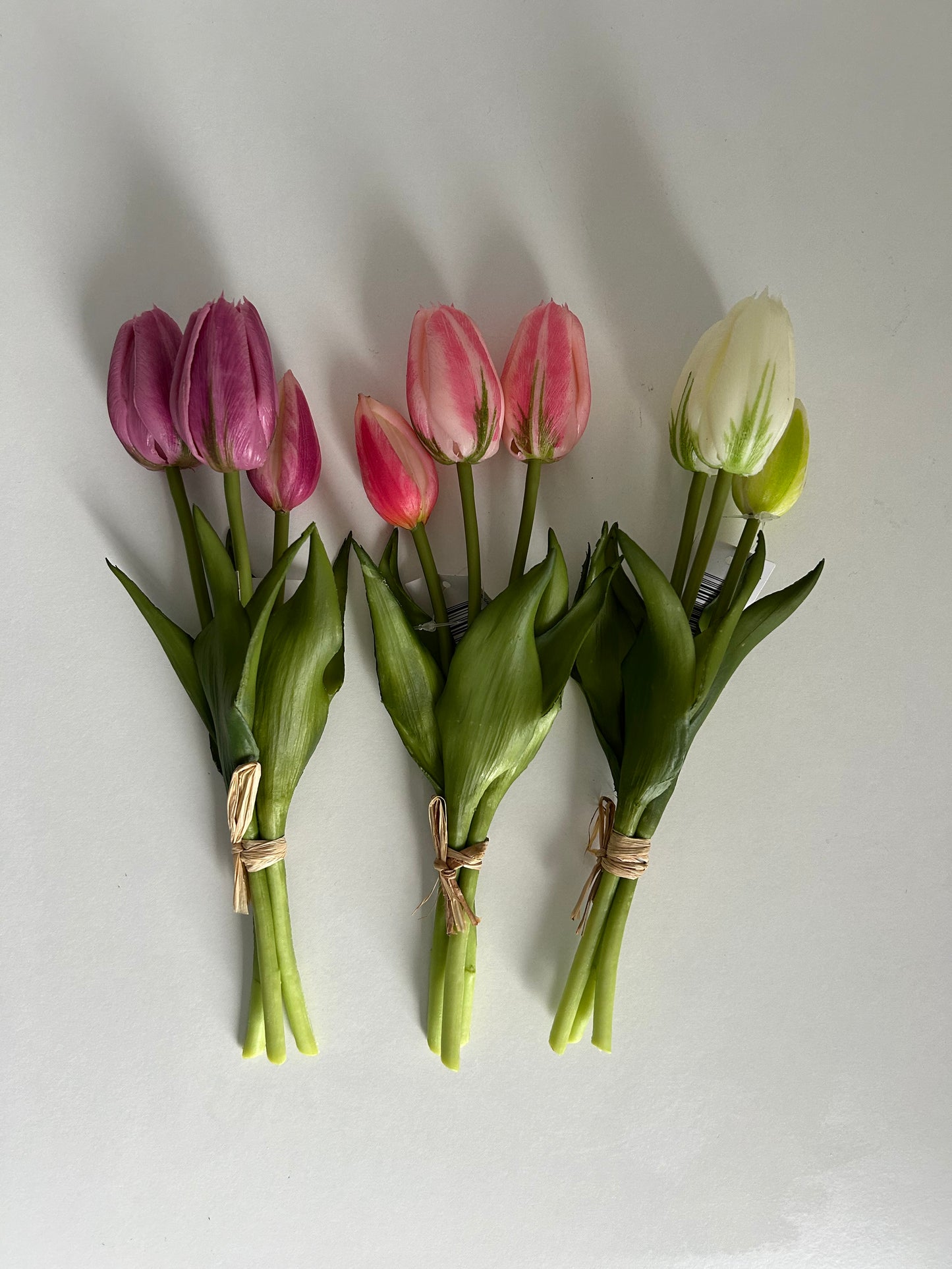 Tulpen Small Wit
