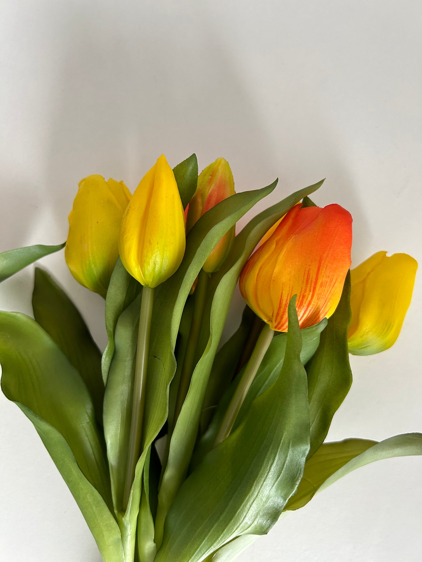 Tulpen Medium Geel & Oranje