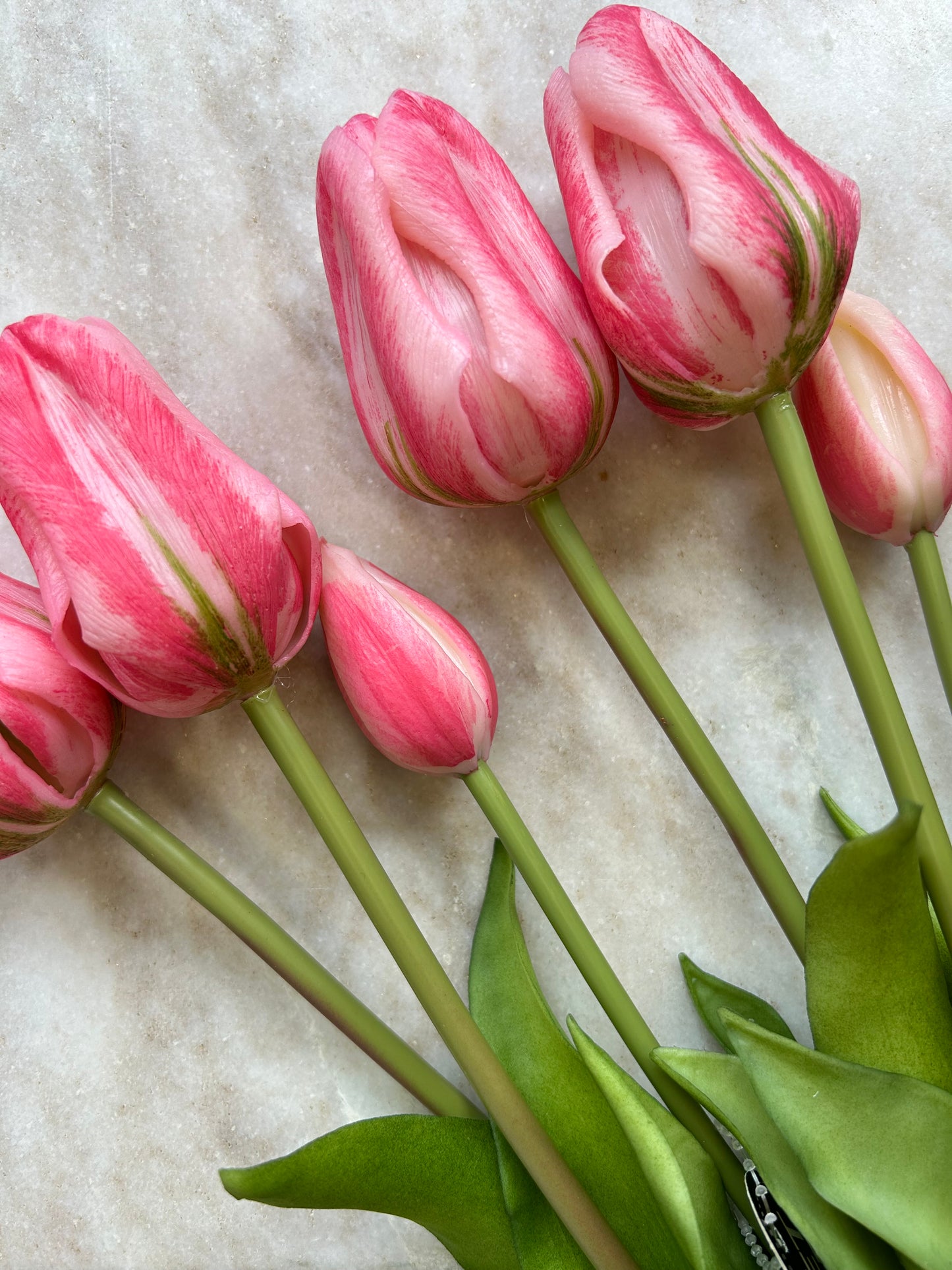 Tulpen Lang Roze 3 Stuks