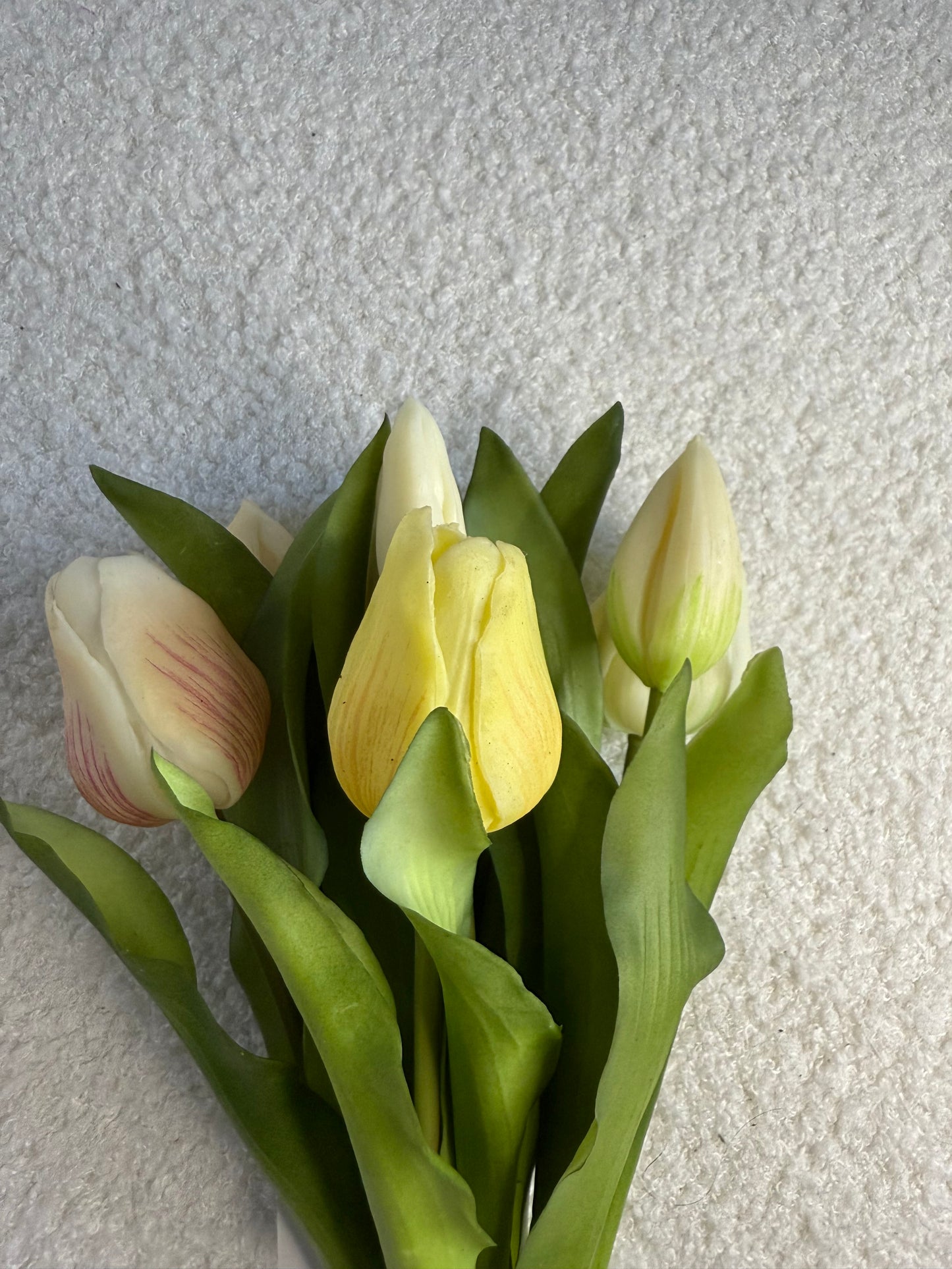 Tulpen lichte kleuren