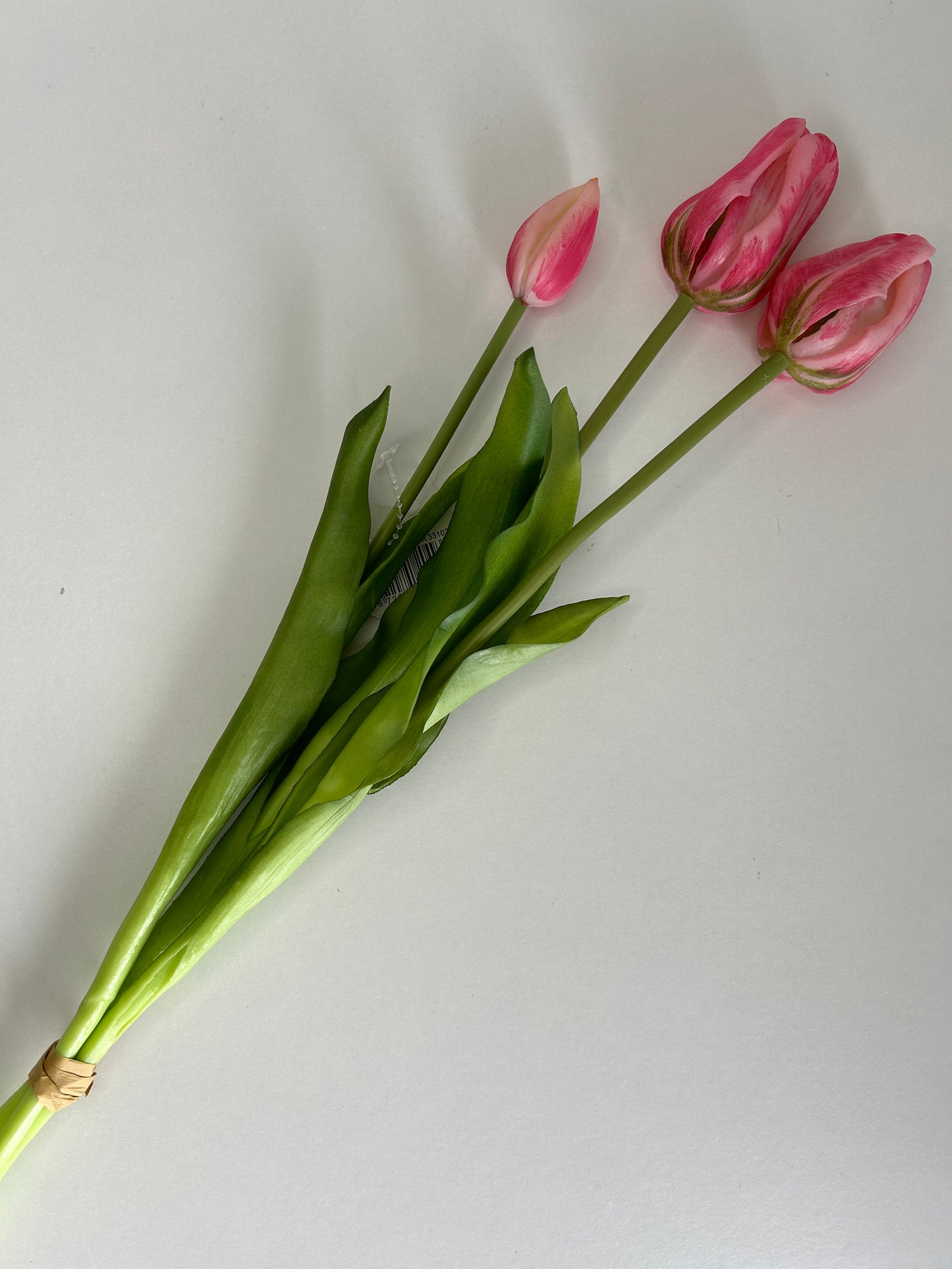 Tulpen Lang Roze 3 Stuks