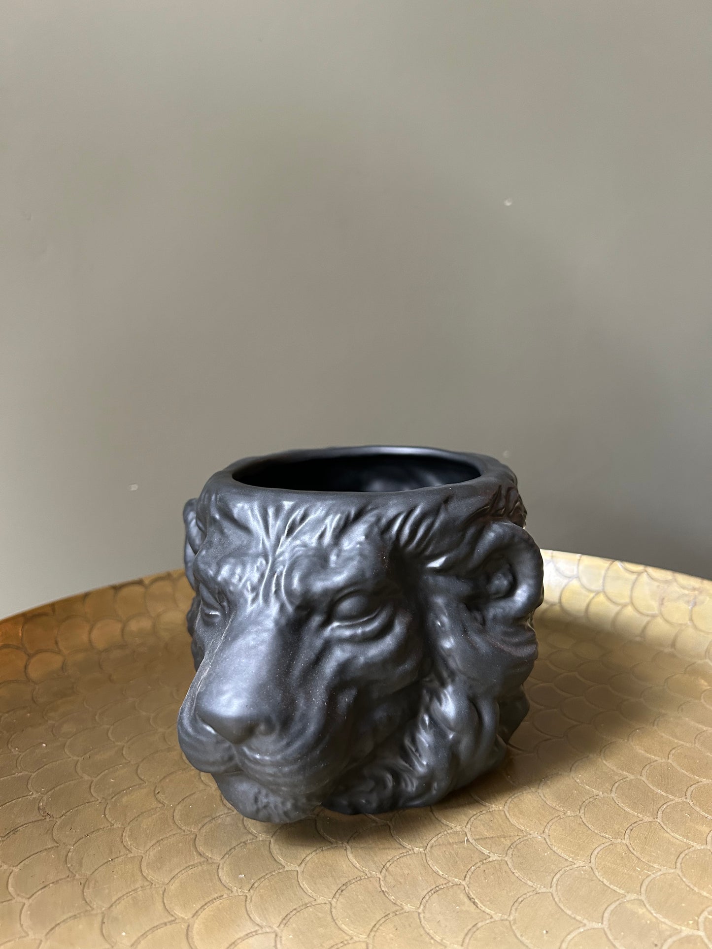 Zwarte Leeuw Vaas