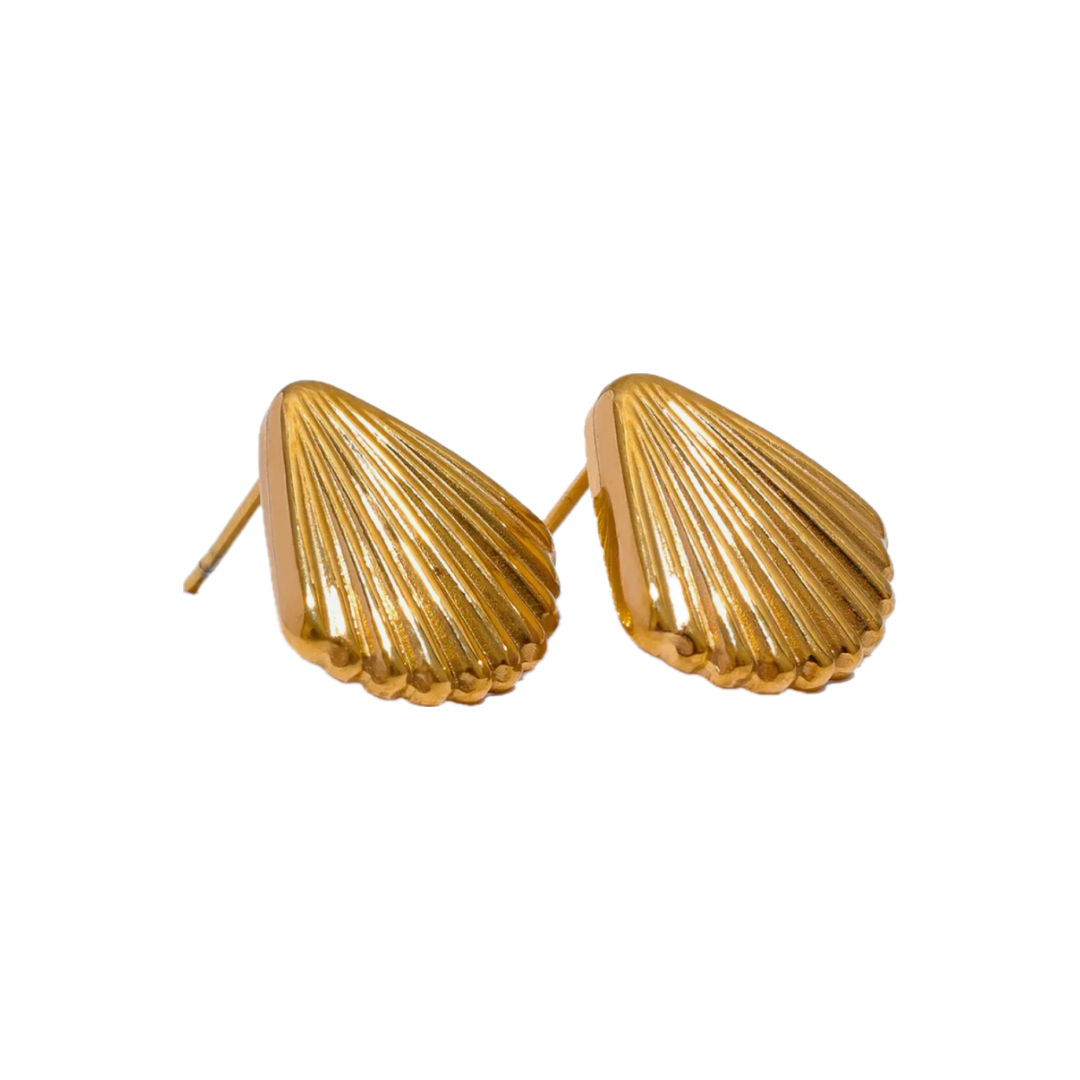 Shell Oorbellen Goud