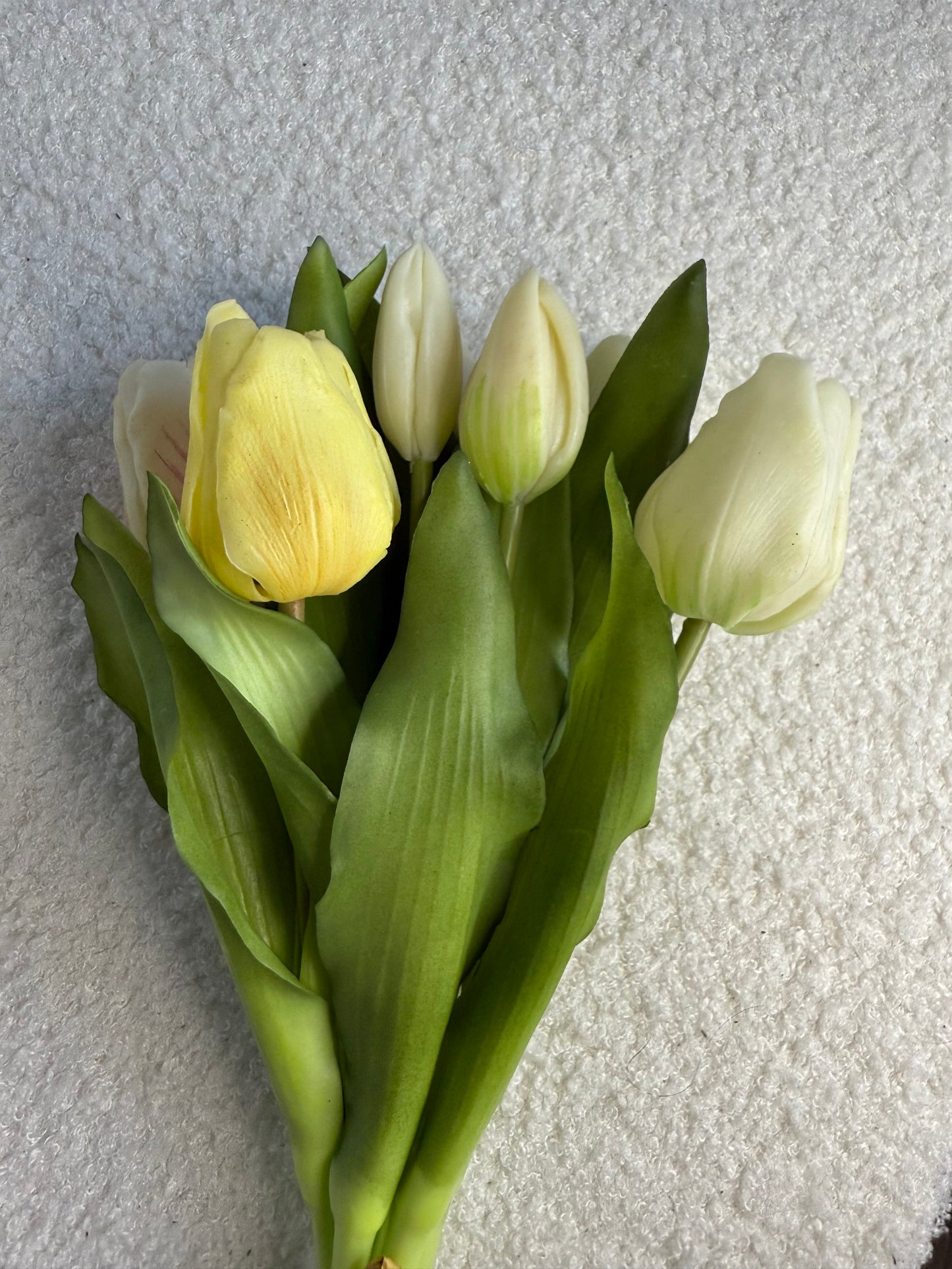 Tulpen lichte kleuren