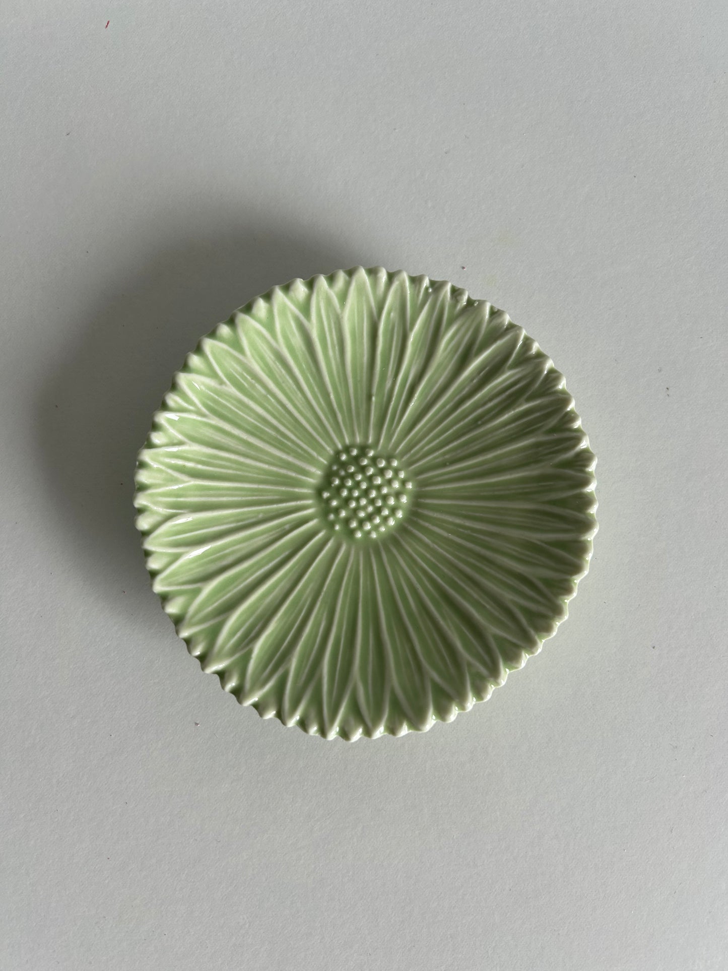 Bloem Schaaltje / Schoteltje Groen