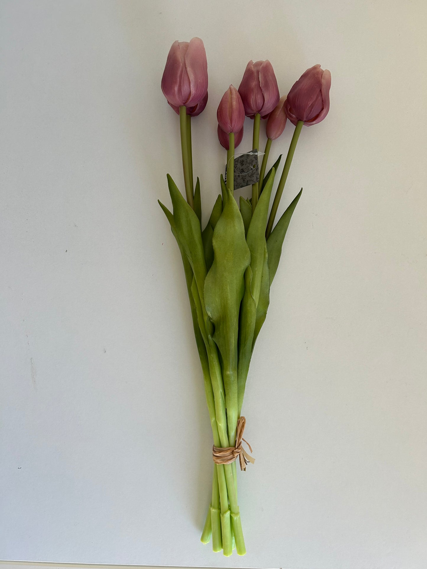 Tulpen Groot Lavendel
