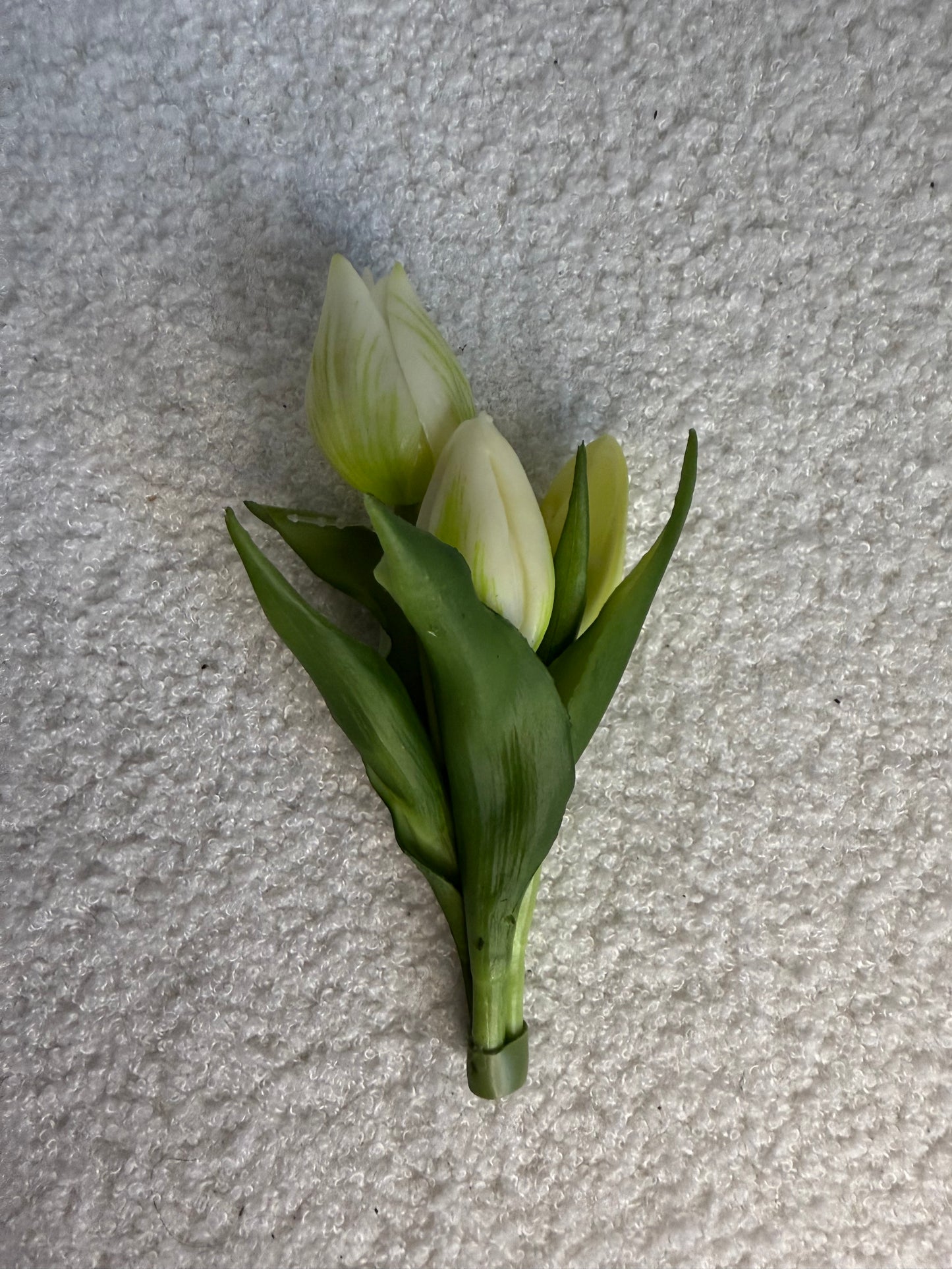 Tulpen mini wit