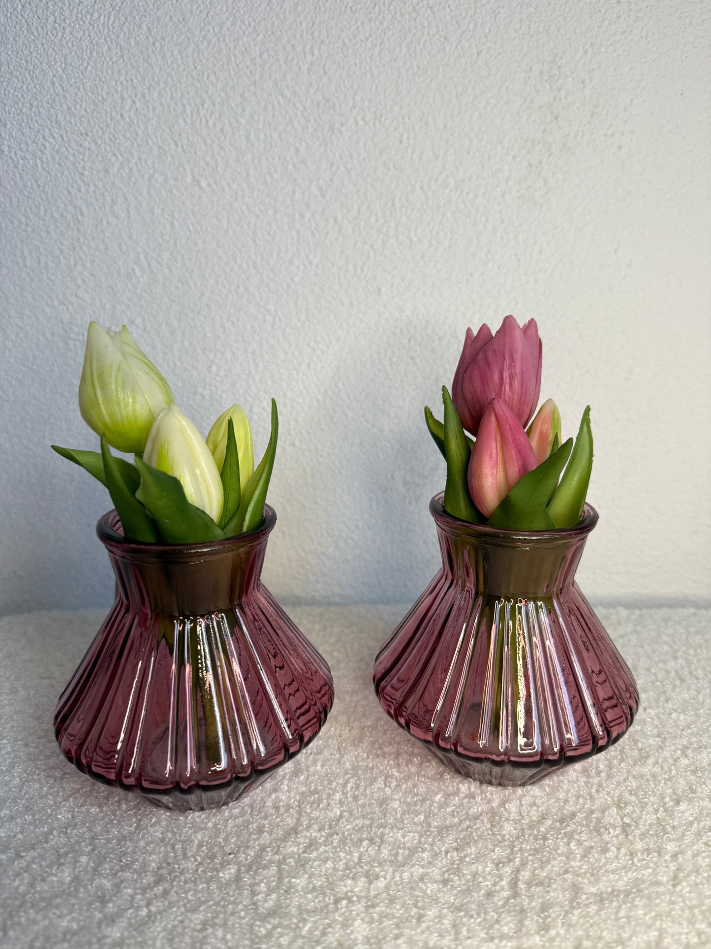 Tulpen mini wit