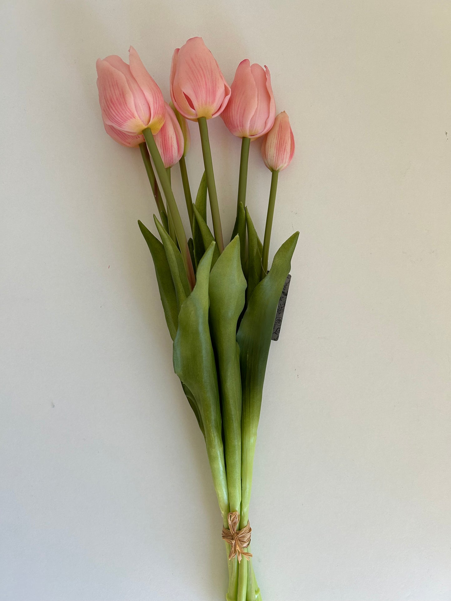 Tulpen Groot Licht Roze