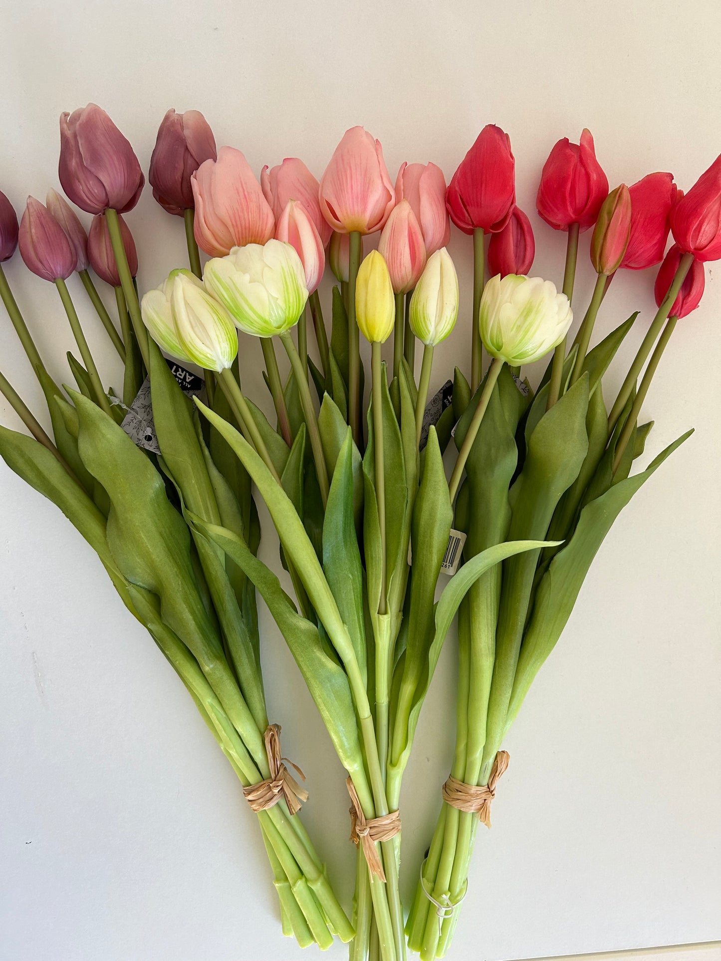 Tulpen Groot Roze