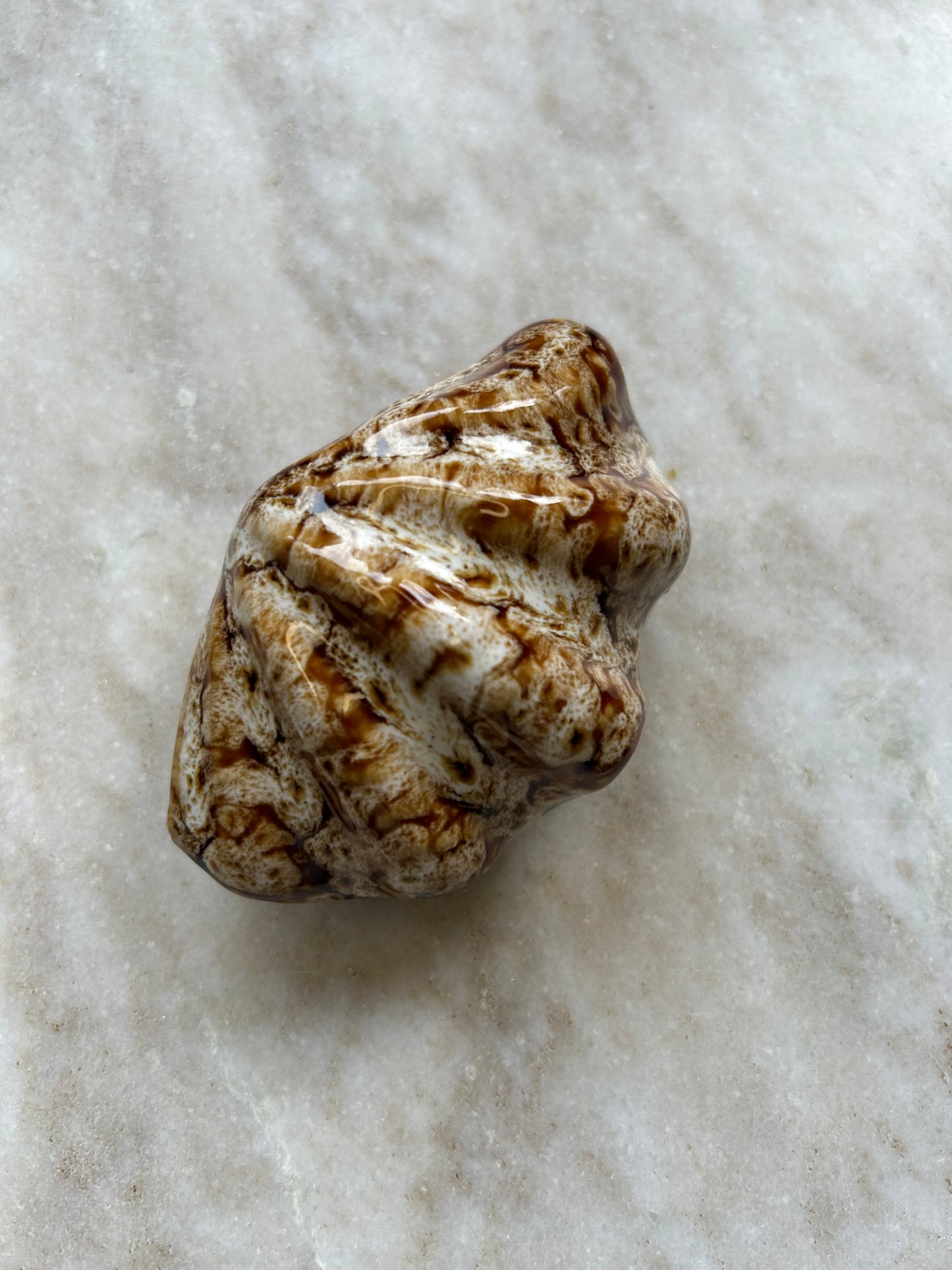 Schelp Ornament
