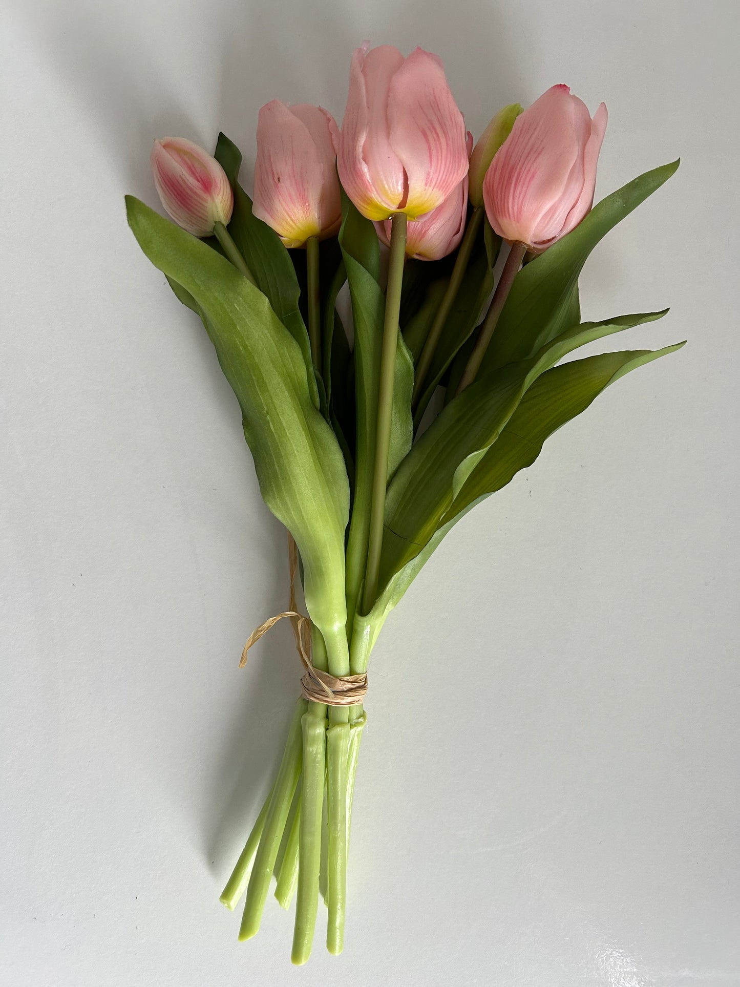 Tulpen Medium Roze
