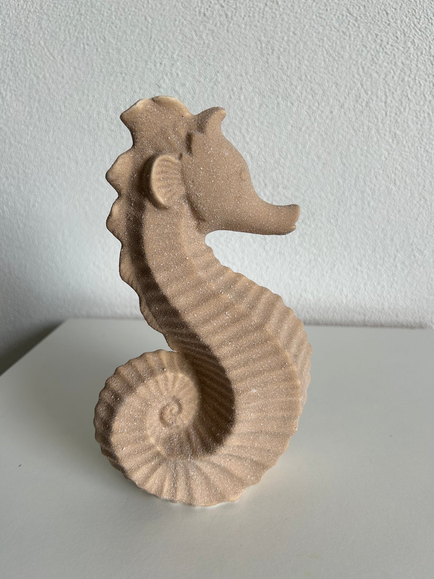 Zeepaardje
