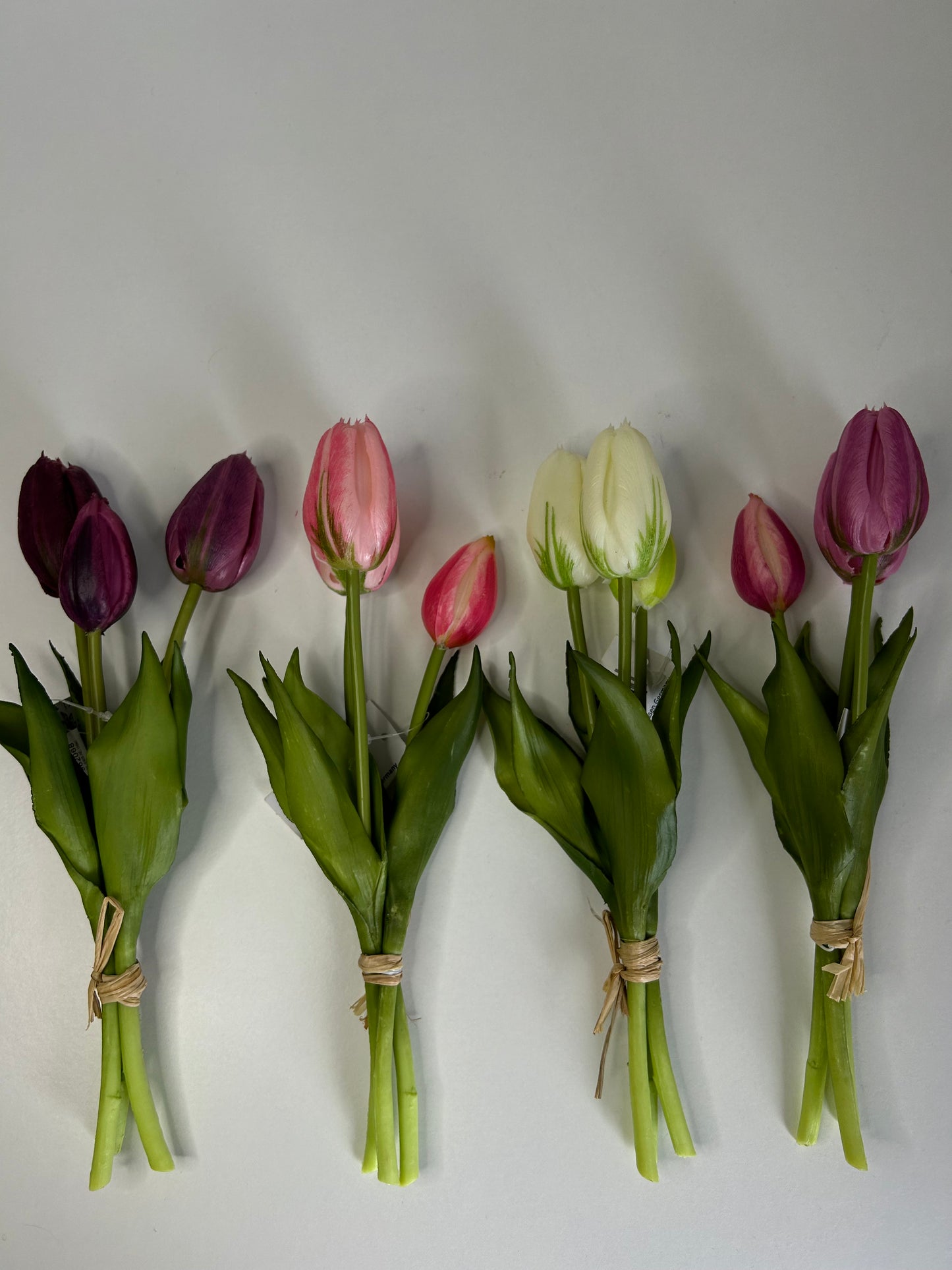 Tulpen Groot Diep Paars