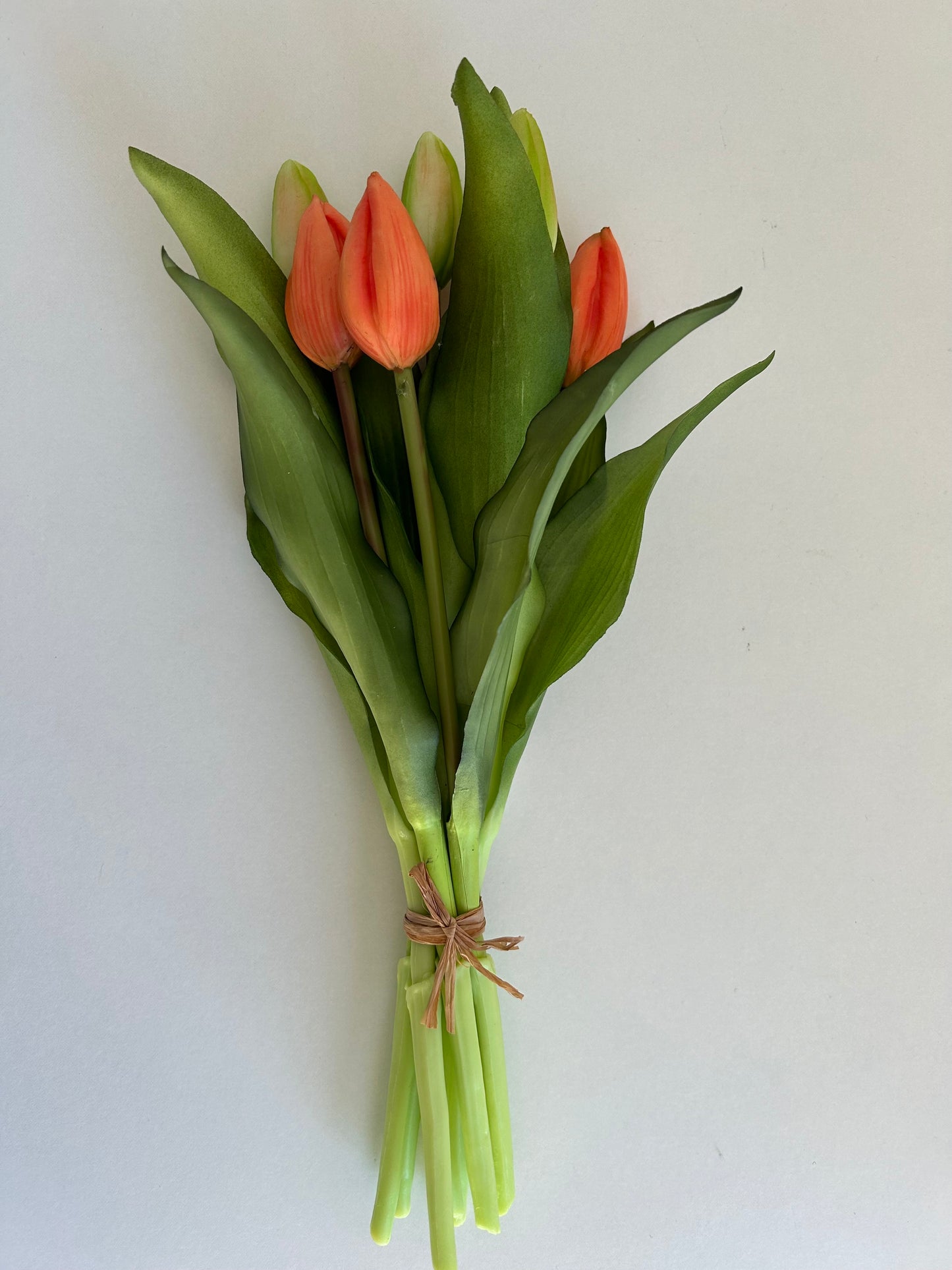 Tulpen Medium Oranje