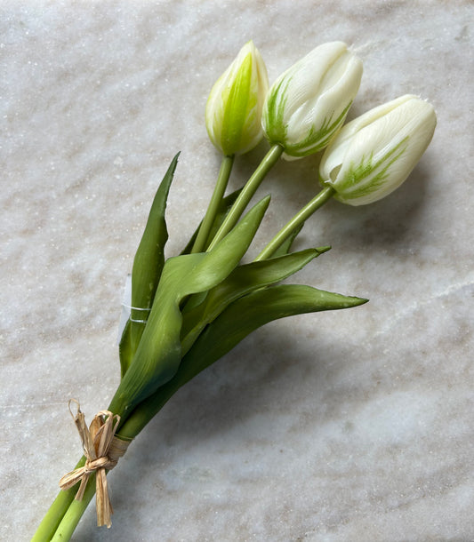 Tulpen Small Wit