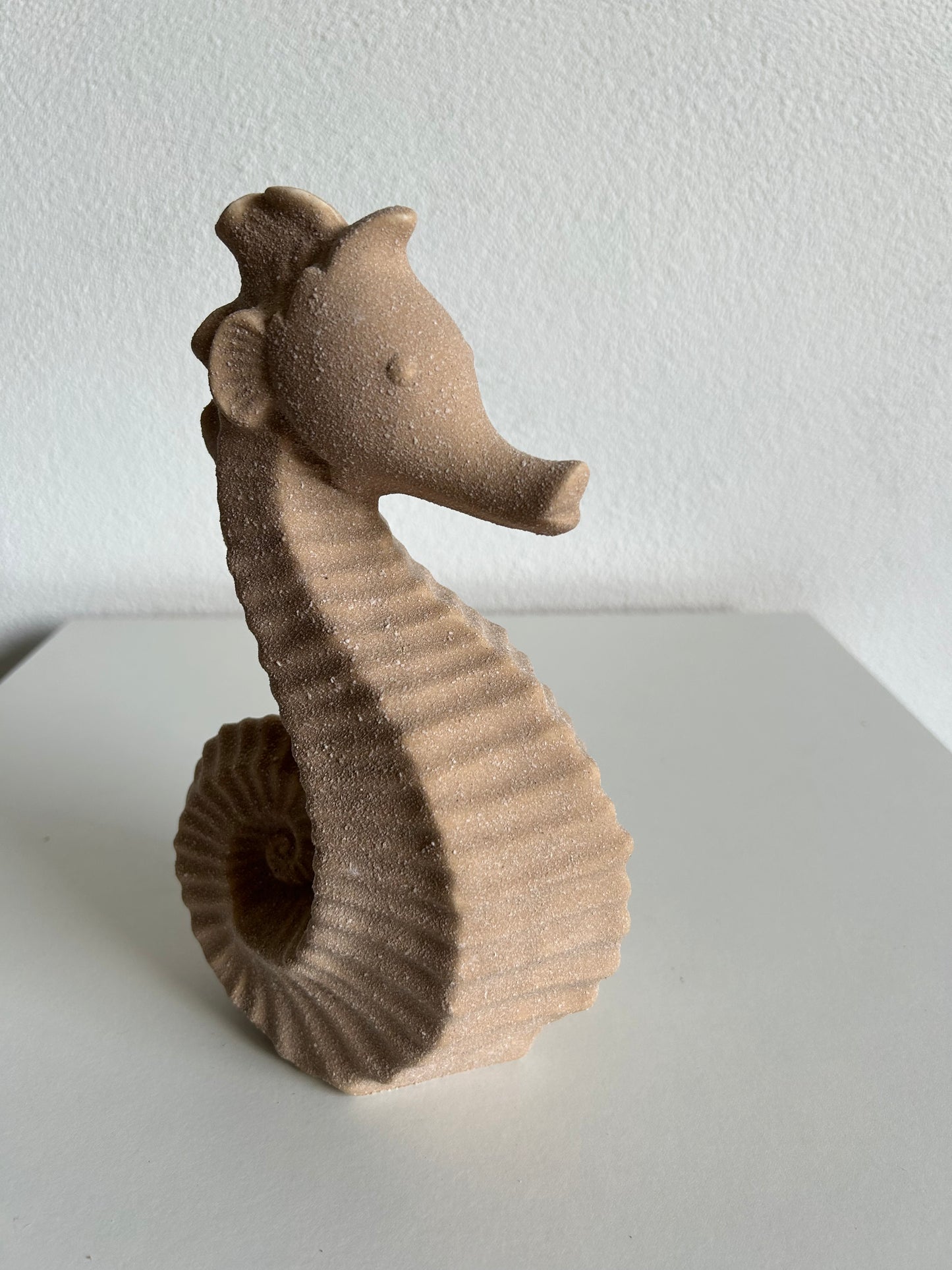 Zeepaardje