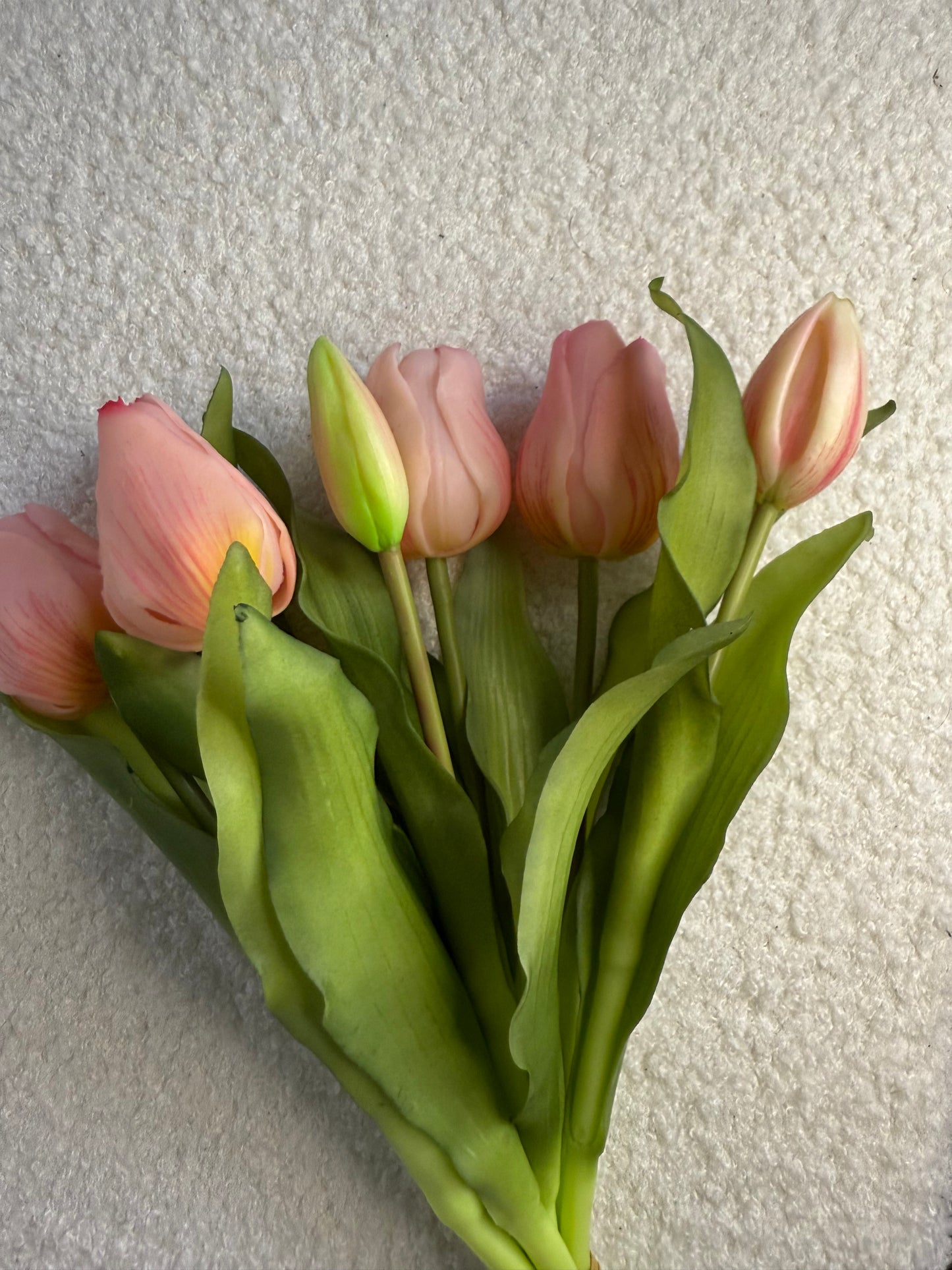 Tulpen Lichtroze