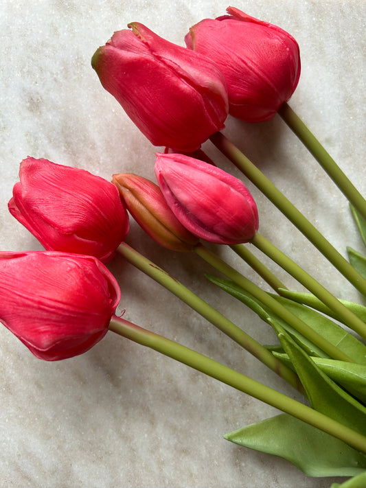Tulpen Groot Roze