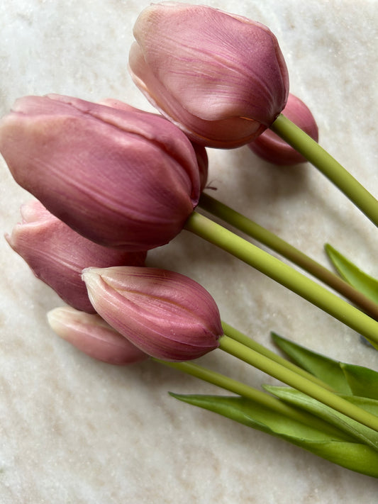 Tulpen Groot Lavendel