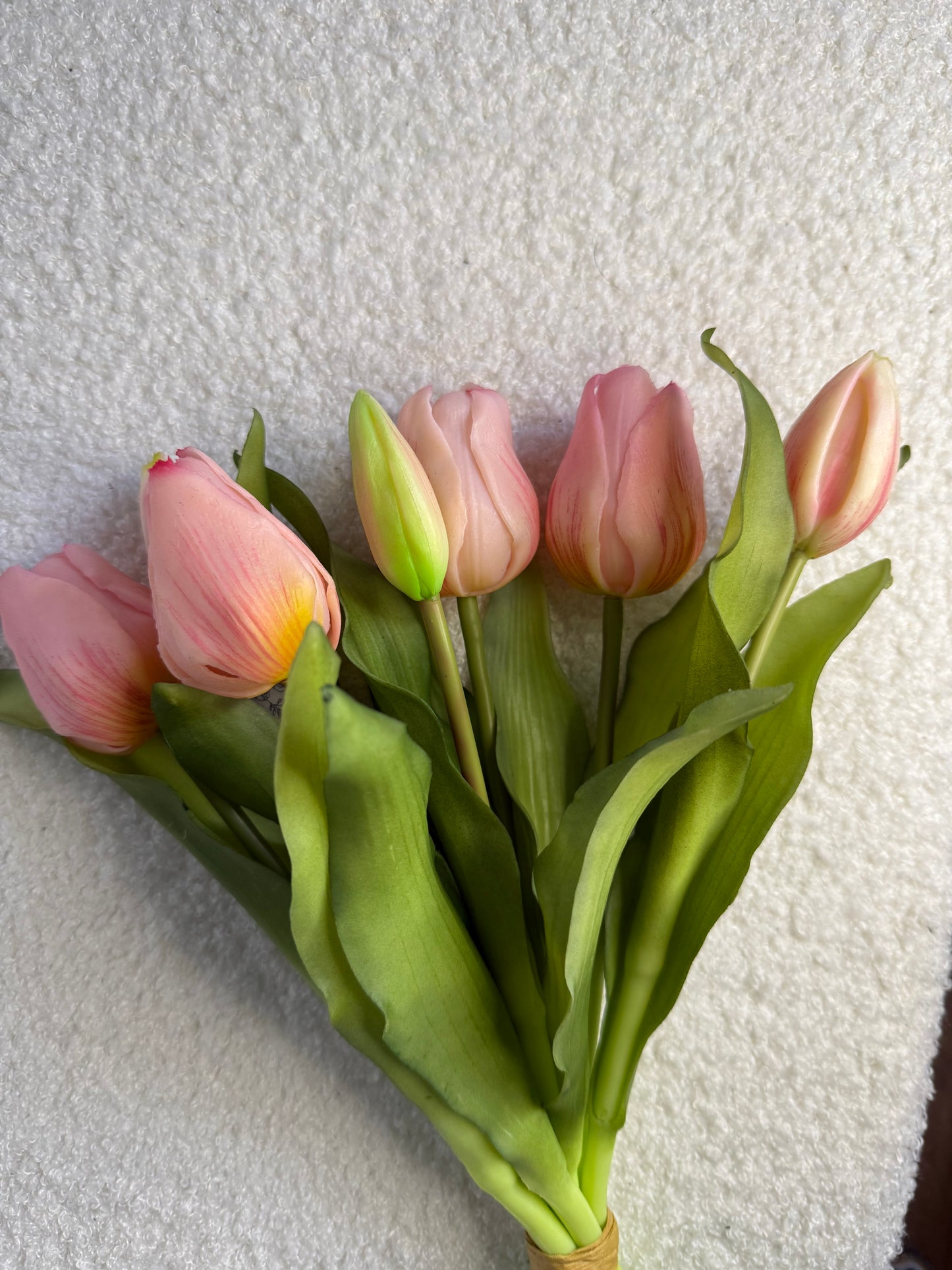 Tulpen Lichtroze