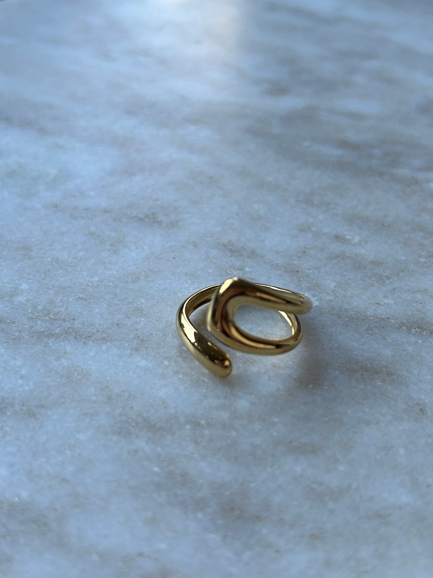 Louvre Ring Goud