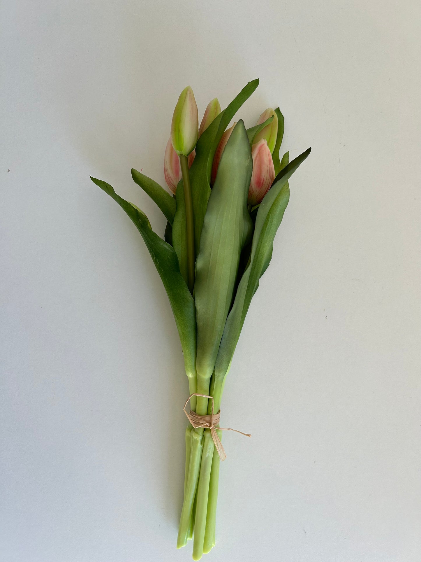 Tulpen Medium Licht Roze