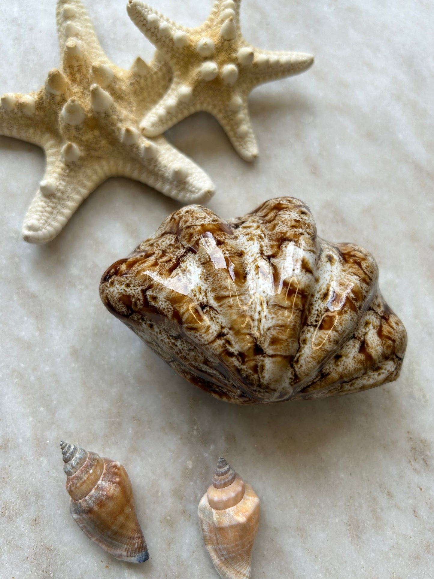Schelp Ornament