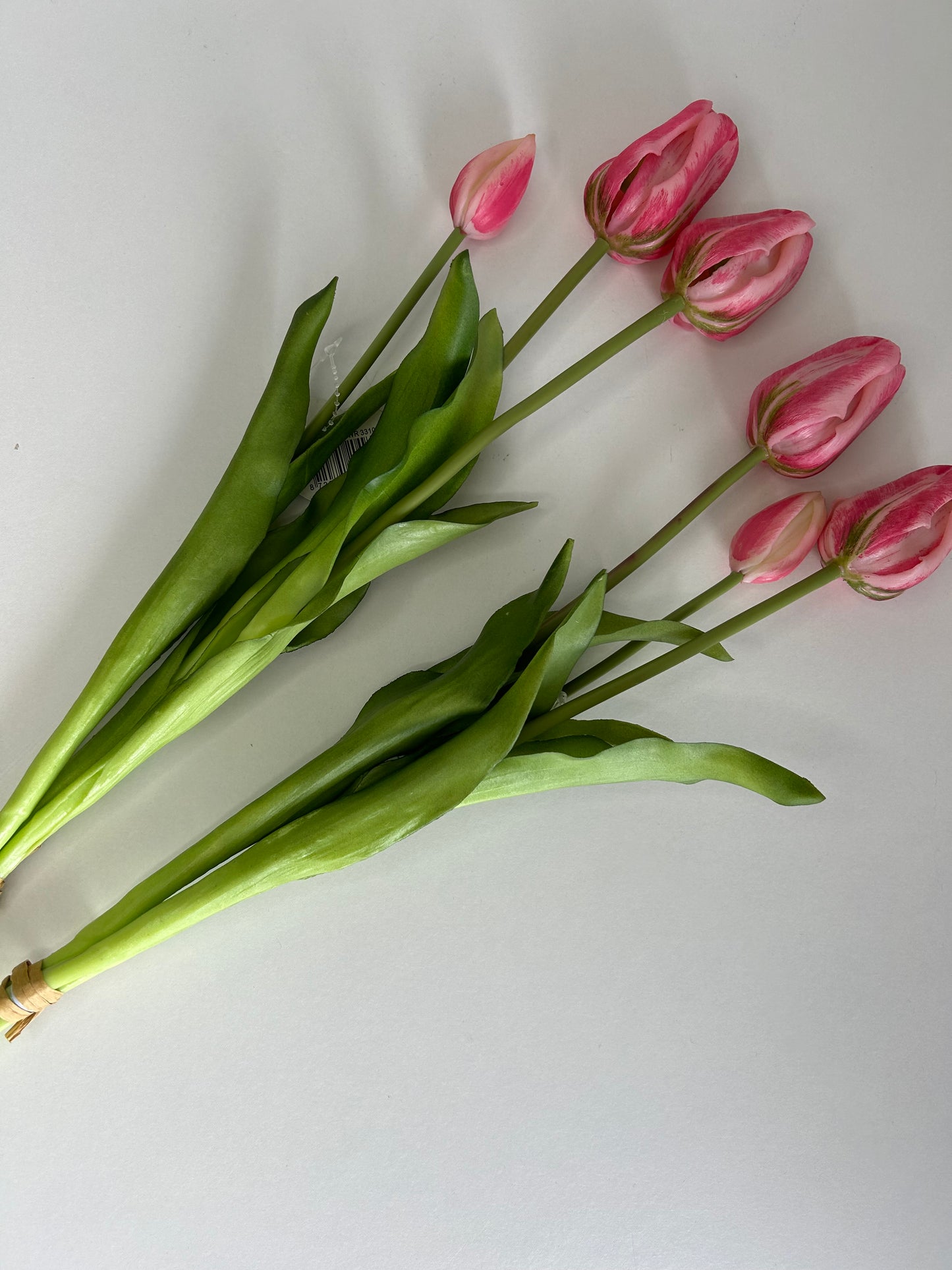 Tulpen Lang Roze 3 Stuks