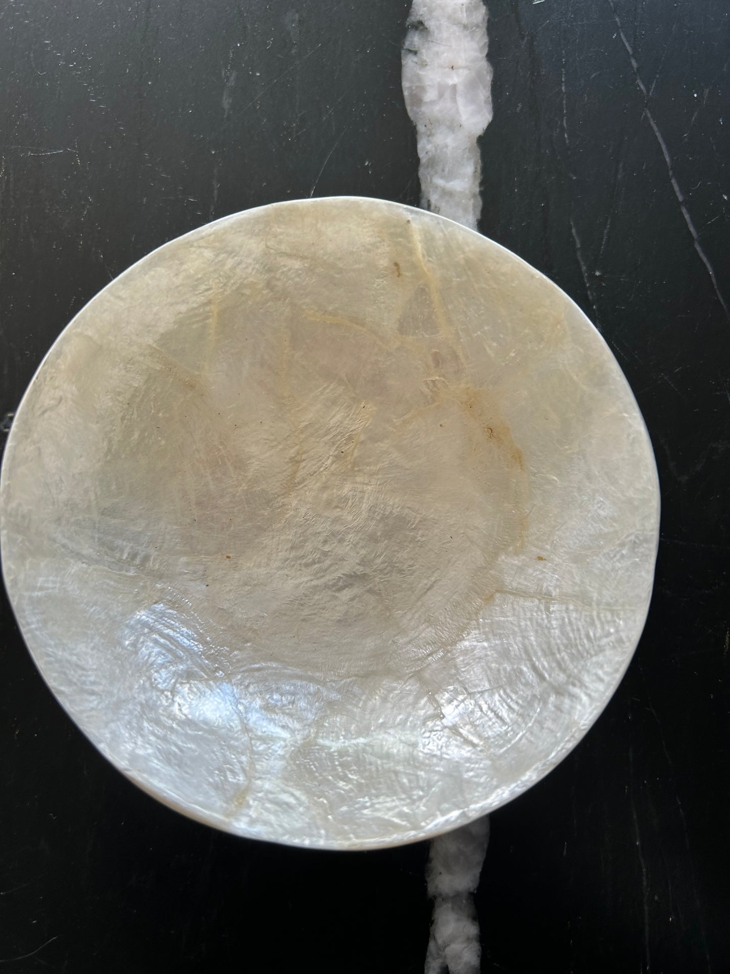 Schelp decoratief schaaltje