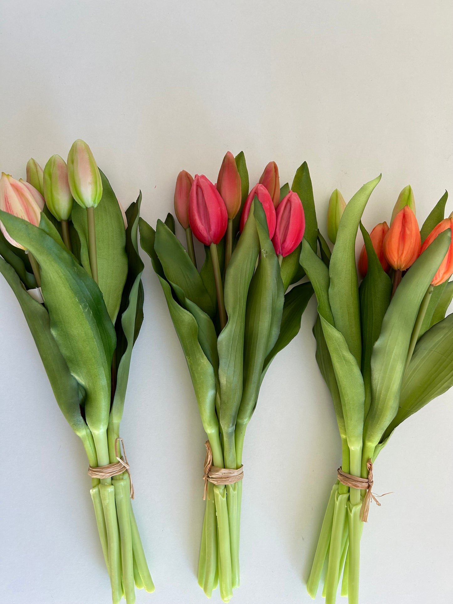 Tulpen Medium Licht Roze