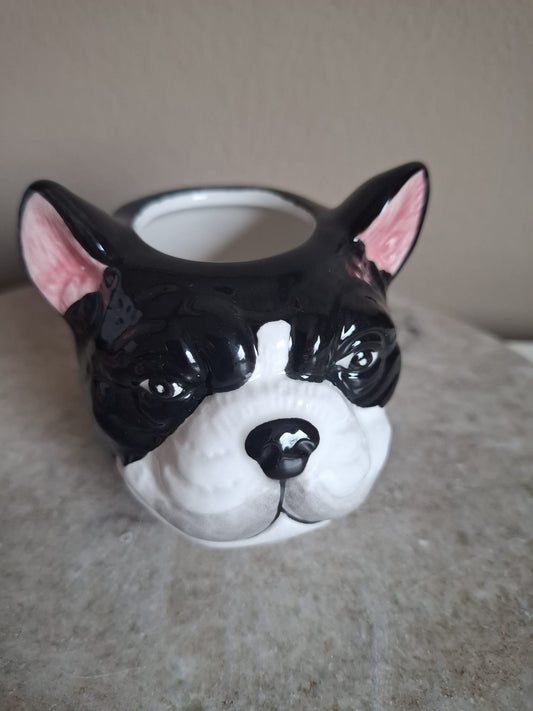 Hond vaasje