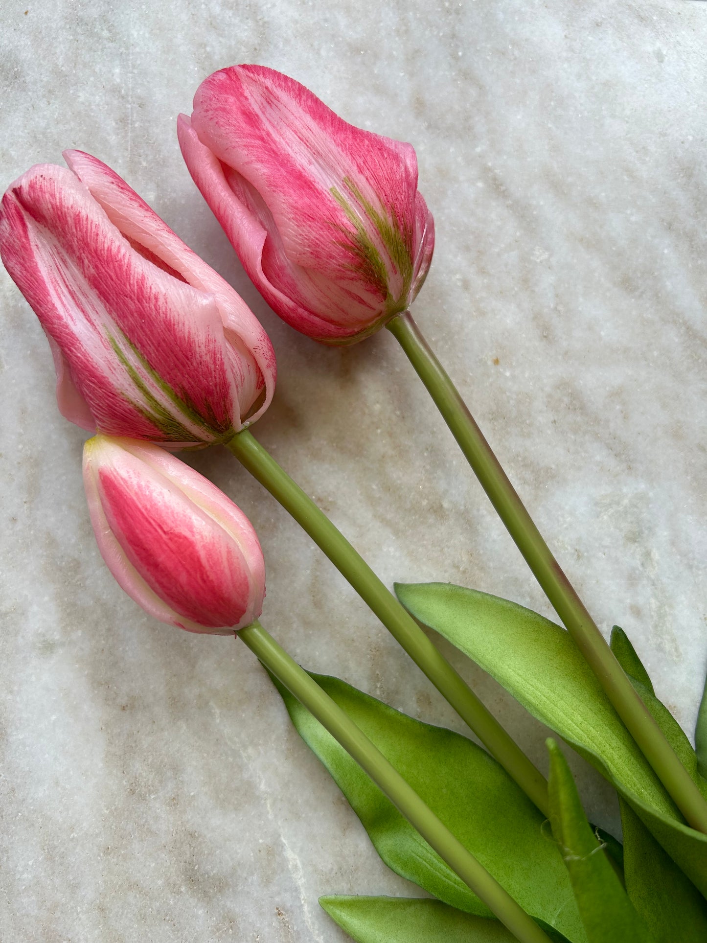 Tulpen Lang Roze 3 Stuks