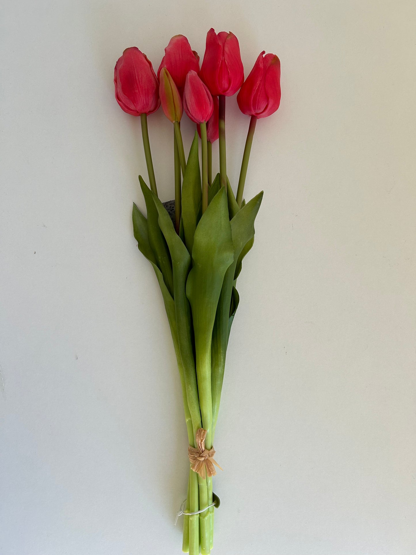 Tulpen Groot Roze