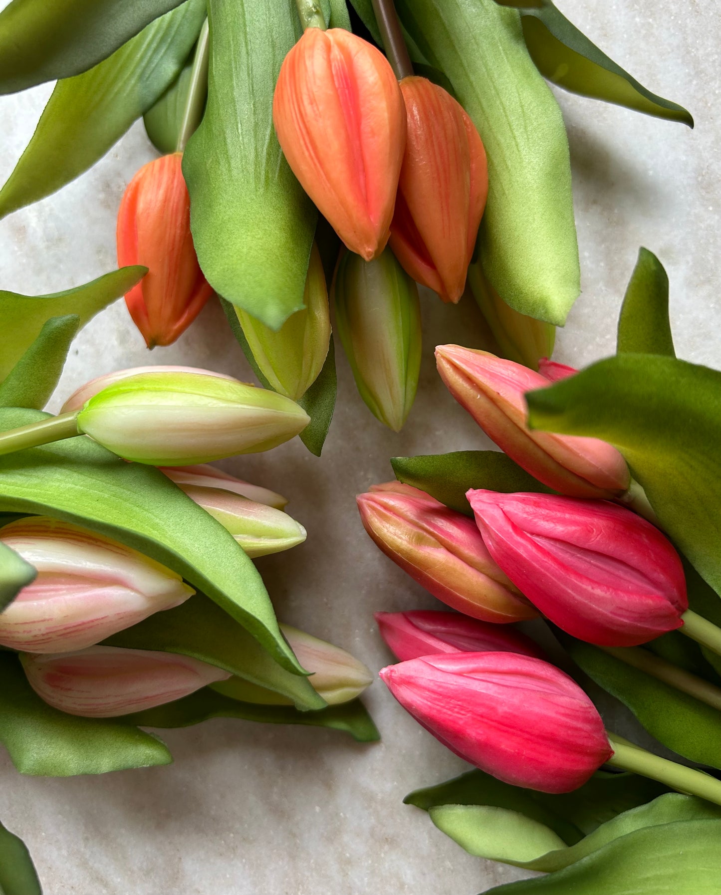 Tulpen Medium Roze