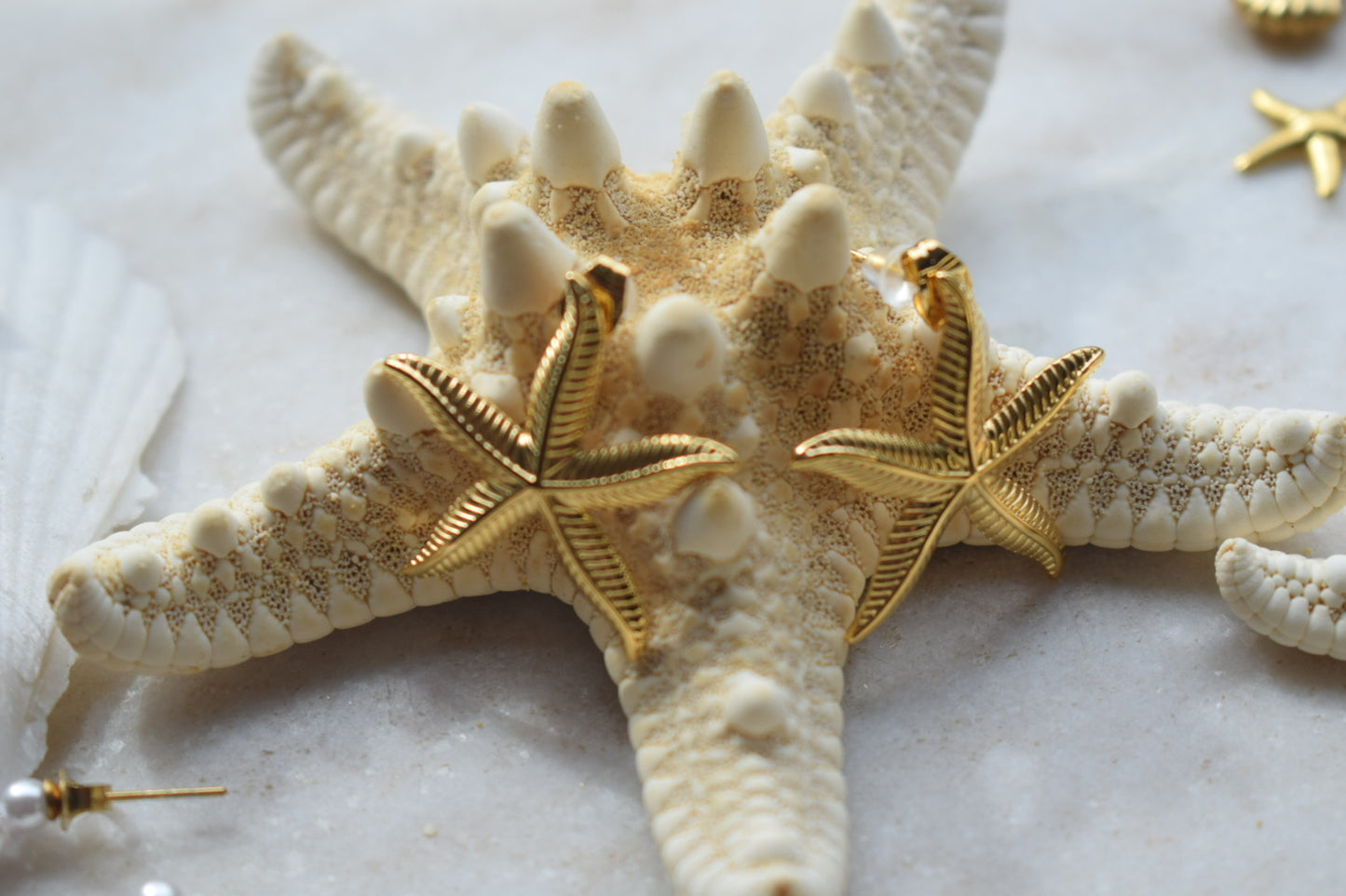 Starfish Oorbellen Goud
