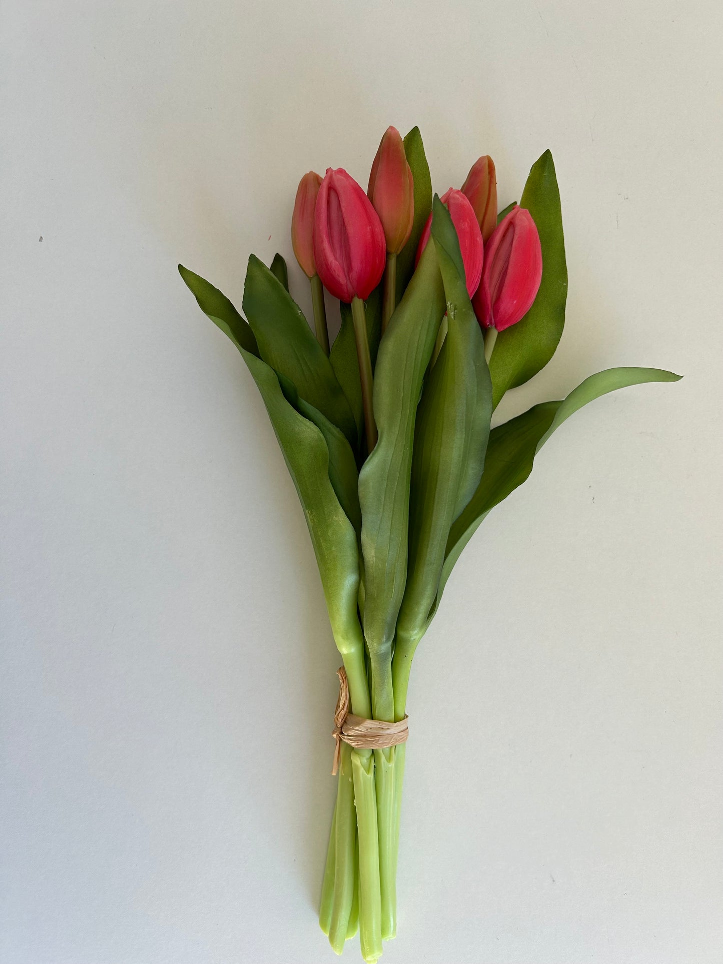 Tulpen Medium Roze