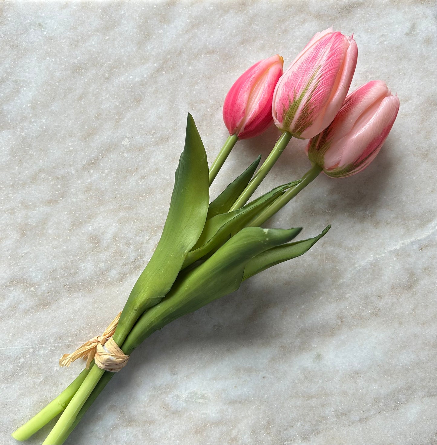 Tulpen Small Roze