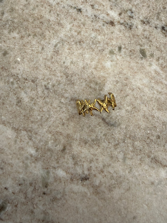 Ring schelpjes