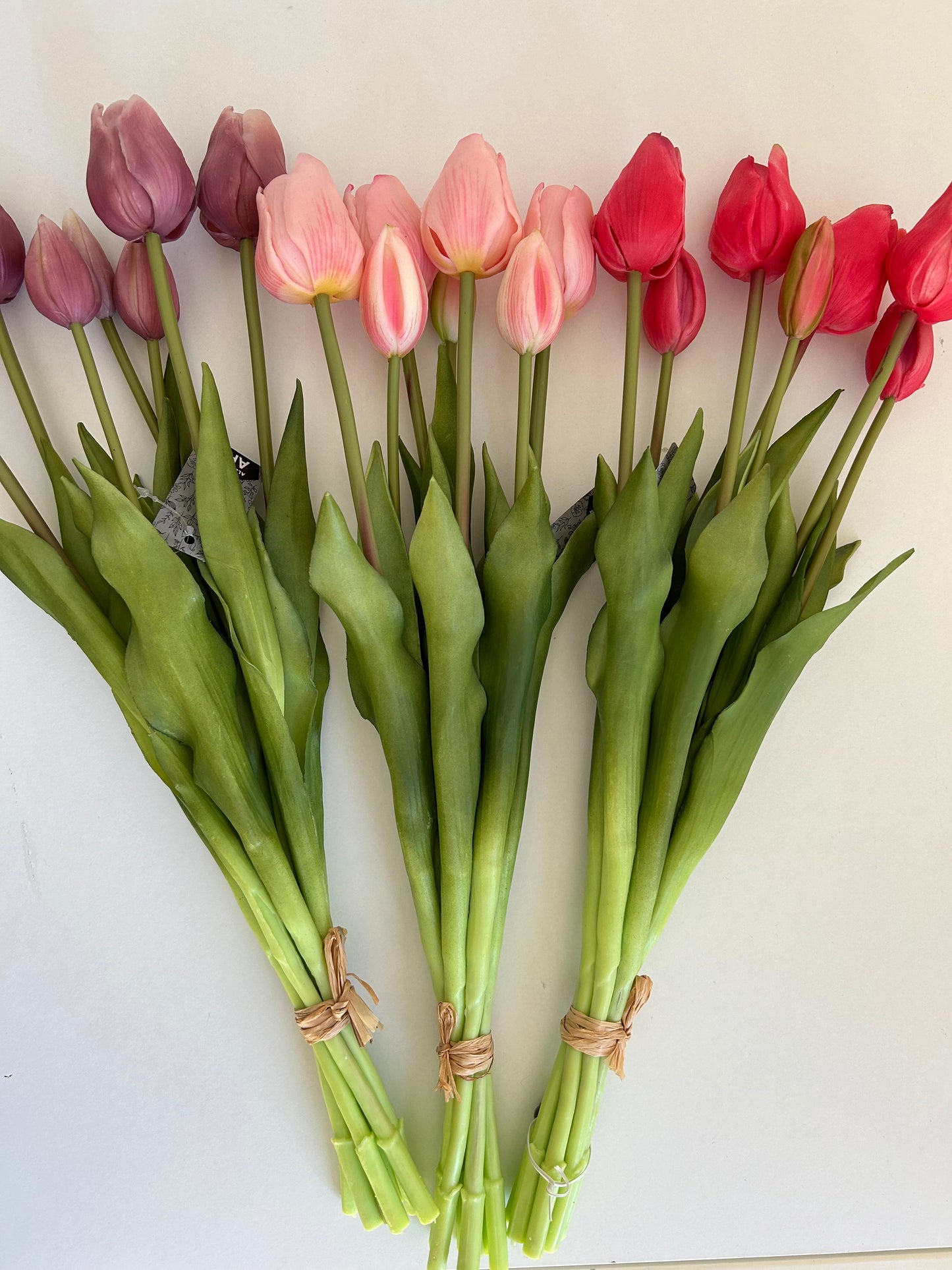 Tulpen Groot Licht Roze