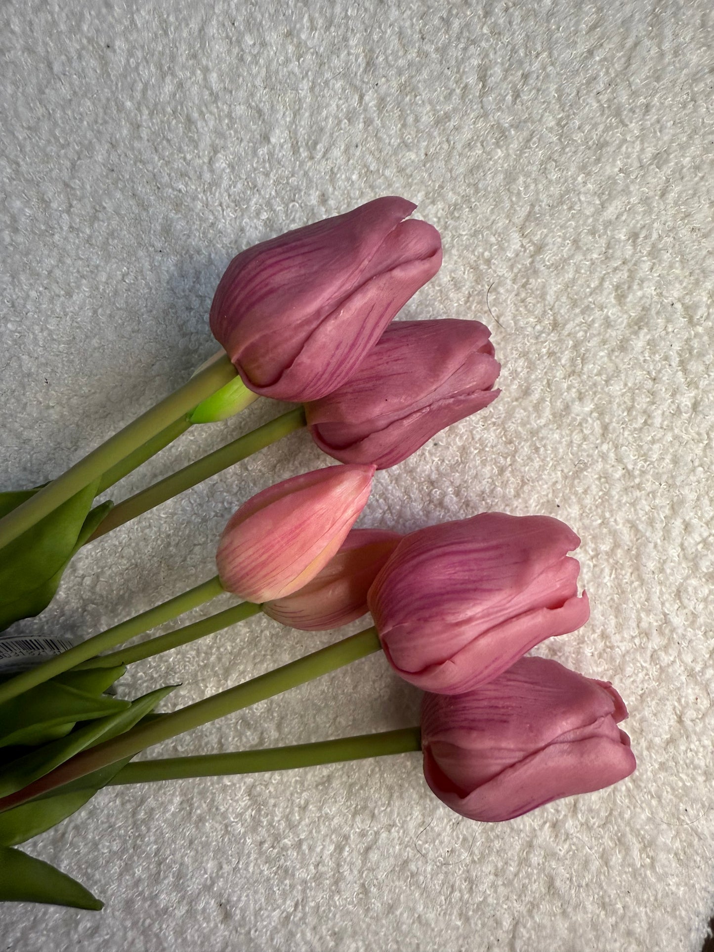 Tulpen Lavendel groot