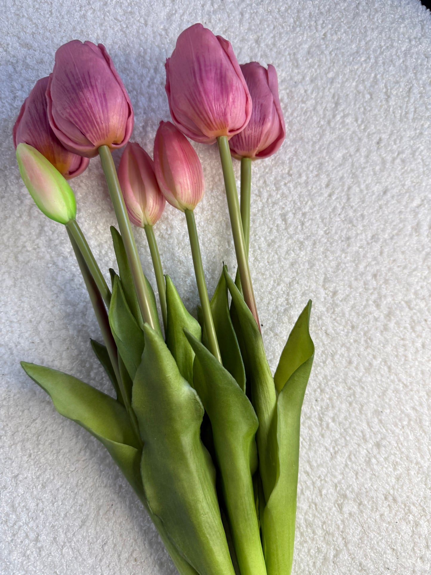 Tulpen Lavendel groot