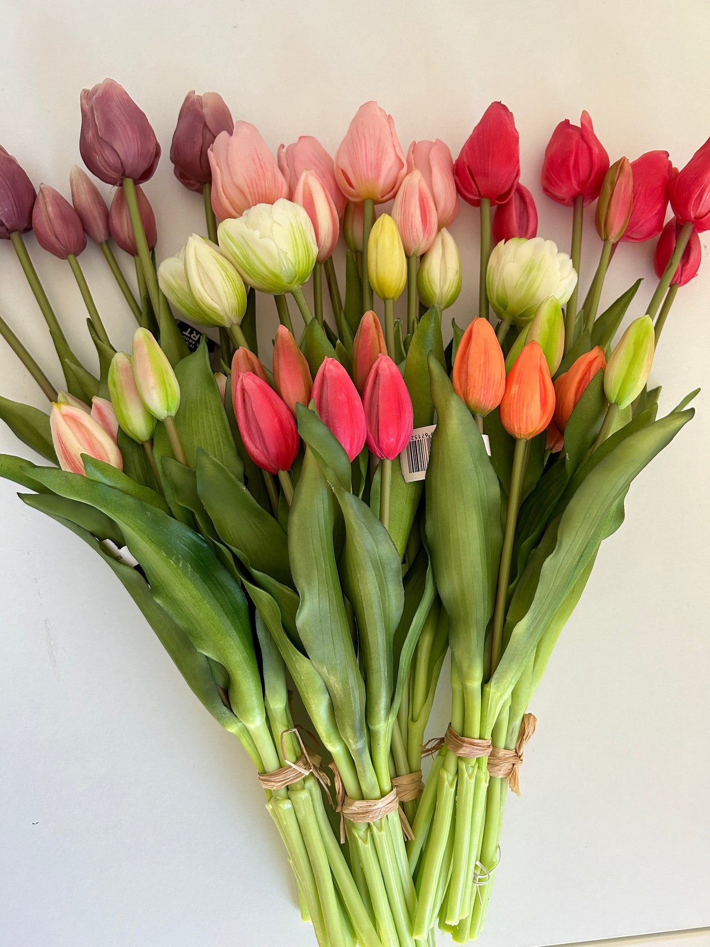 Tulpen Medium Roze