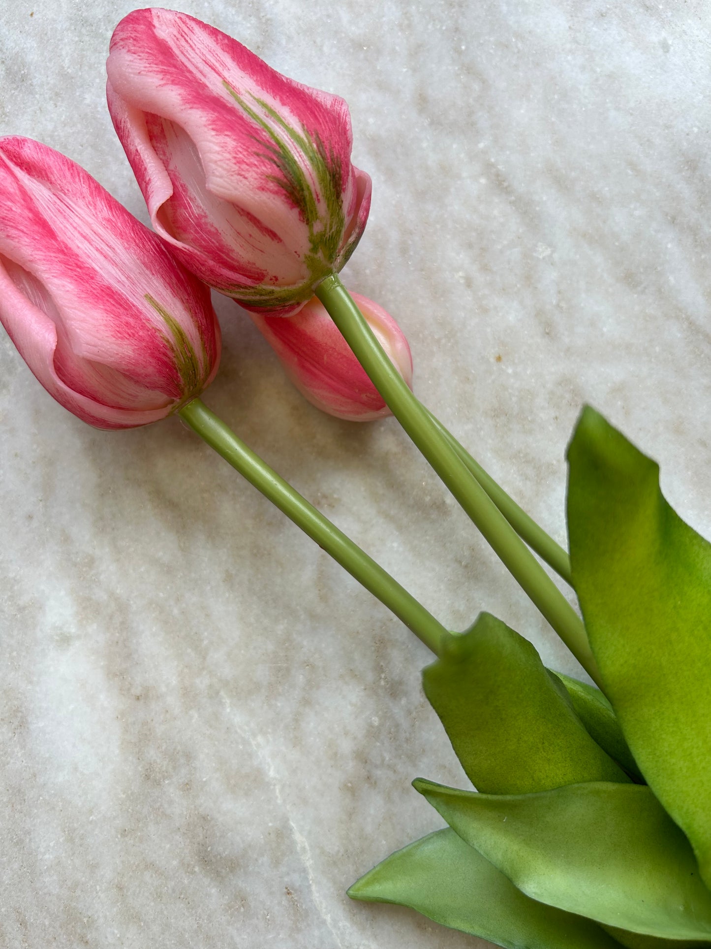 Tulpen Lang Roze 3 Stuks