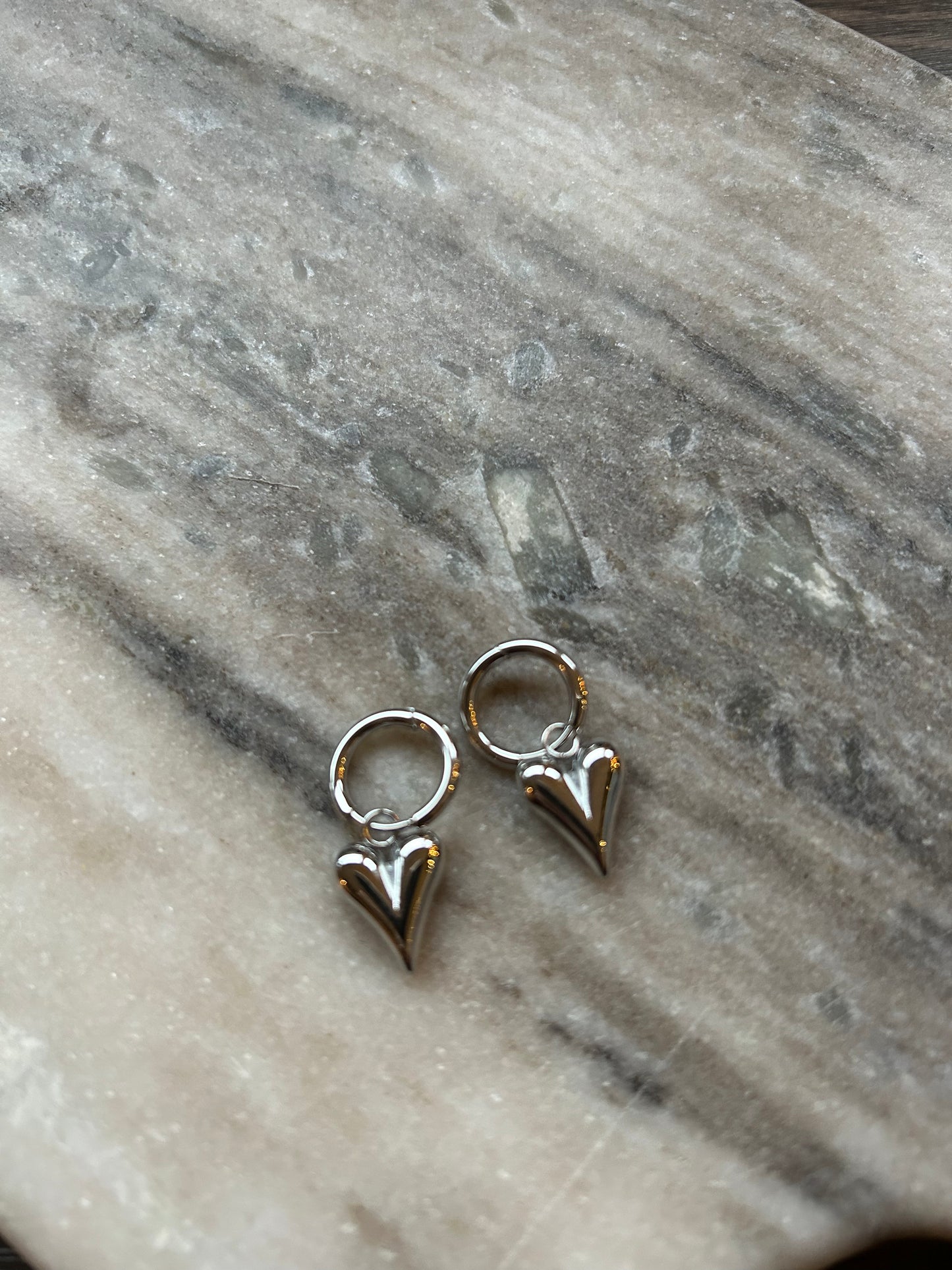 Siena Earrings Zilver