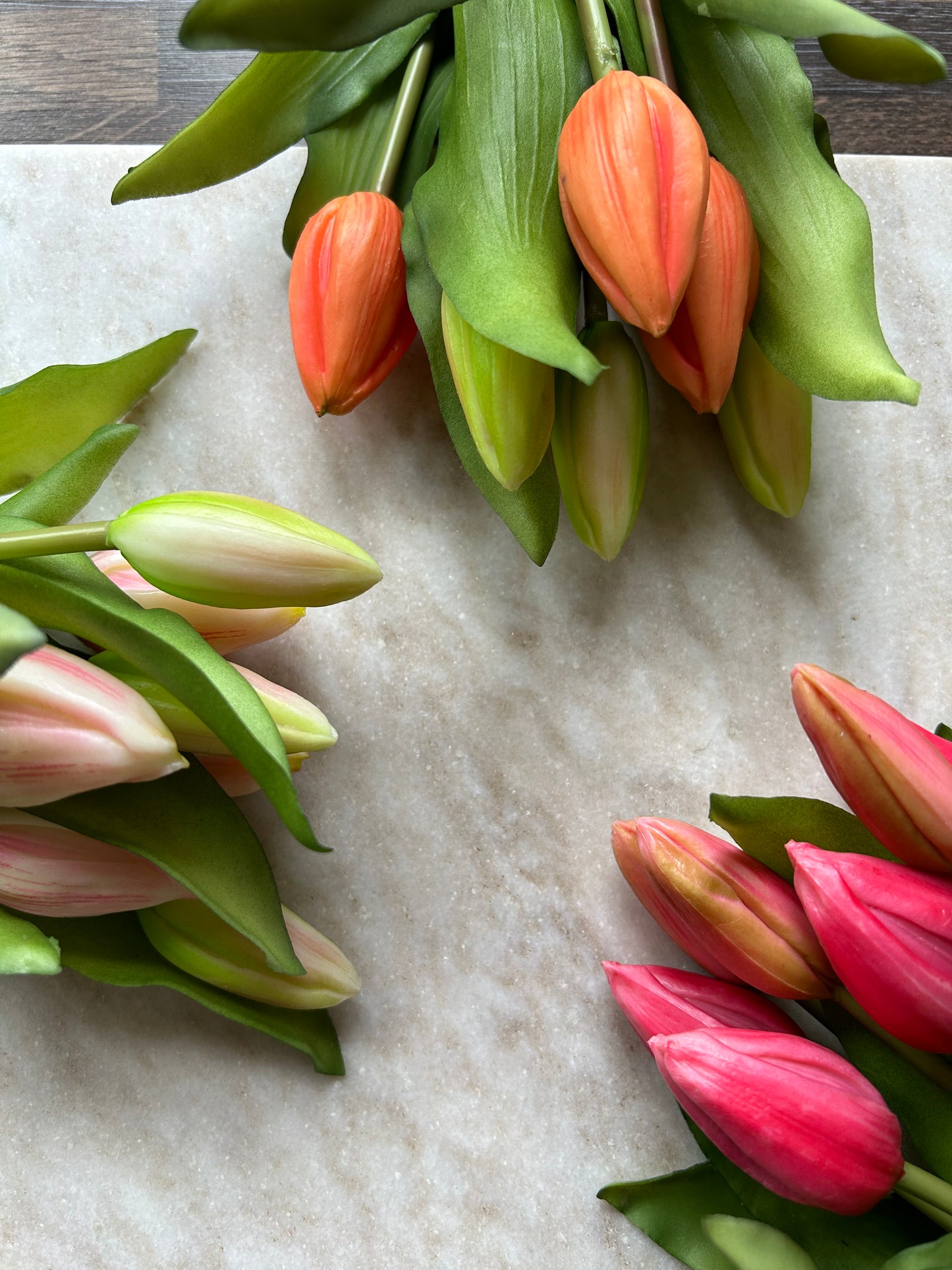 Tulpen Medium Licht Roze